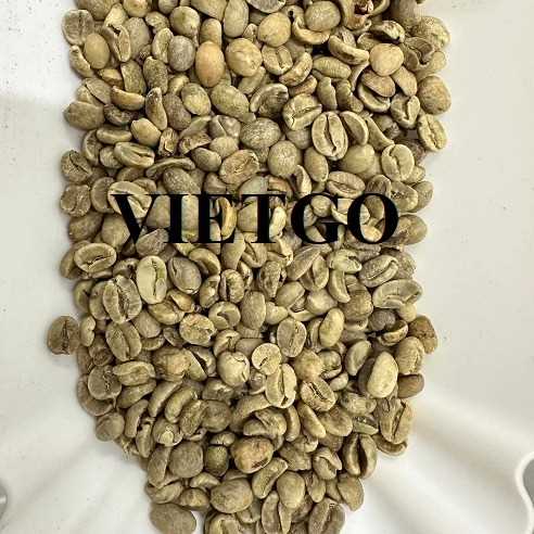 Cơ hội xuất khẩu hạt cà phê xanh Arabica và Robusta sang thị trường Tây Ban Nha 