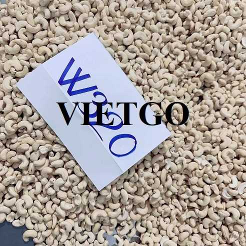Cơ hội xuất khẩu hạt điều w320 sang thị trường Tây Ban Nha