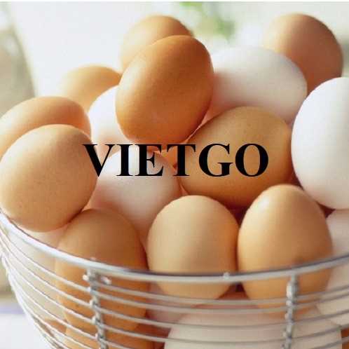 Thương vụ hợp tác xuất khẩu trứng sang thị trường Hàn Quốc