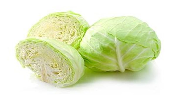 Cabbage