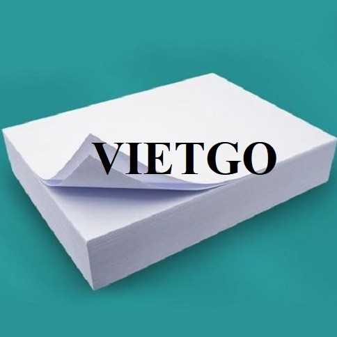 Thương vụ xuất khẩu giấy A4 sang thị trường Ai Cập
