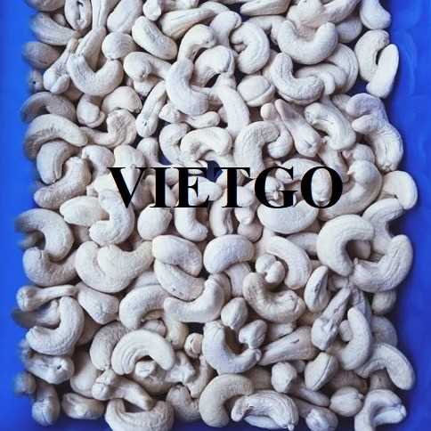Cơ hội xuất khẩu hạt điều W240 và W320 đến thị trường Trung Quốc