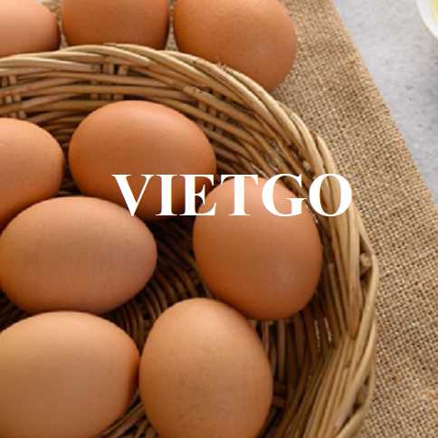 Cơ hội hợp tác xuất khẩu trứng đến thị trường Mỹ 