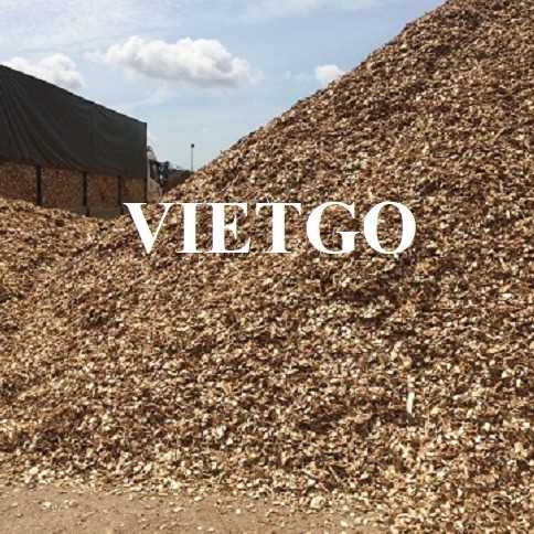 Thương vụ xuất khẩu gỗ vụn đến thị trường Ấn Độ