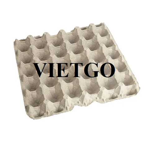 Cơ hội xuất khẩu khay giấy sang thị trường Hàn Quốc