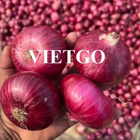 Cơ hội hợp tác với xuất khẩu hành tím sang thị trường Oman