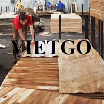 Thương vụ xuất khẩu ván bóc sang thị trường Ấn Độ 
