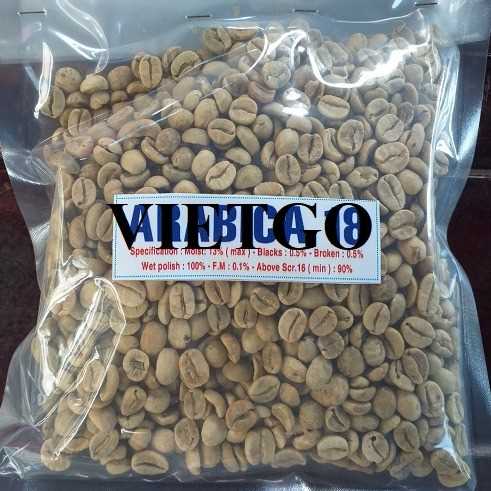 Cơ hội xuất khẩu hạt cà phê Arabica xanh cùng vị khách hàng người Thổ Nhĩ Kỳ