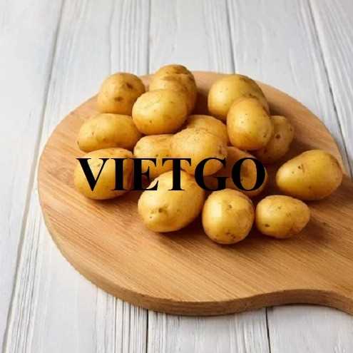 Cơ hội xuất khẩu khoai tây sang thị trường Malaysia