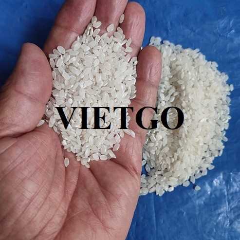 Thương vụ hợp tác xuất khẩu gạo tới thị trường Nepal