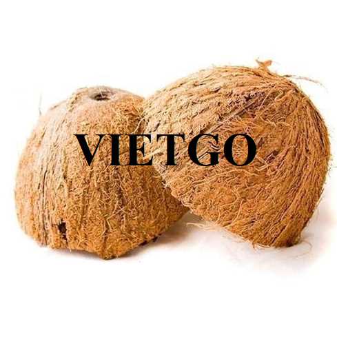 Cơ hội xuất khẩu gáo dừa khô sang thị trường Canada và Thổ Nhĩ Kỳ