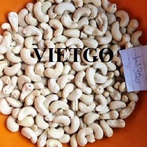 Thương vụ hợp tác xuất khẩu hạt điều W320 sang thị trường Thổ Nhĩ Kỳ và Turkmenistan