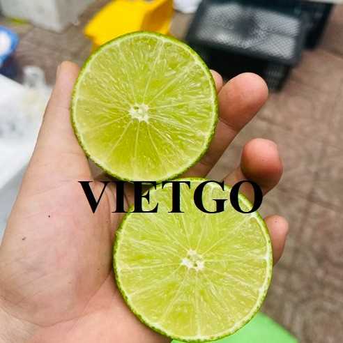 Cơ hội xuất khẩu chanh xanh không hạt sang thị trường Ả Rập Xê Út