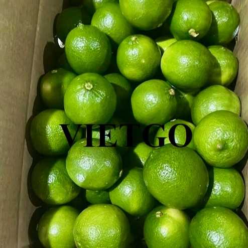 Cơ hội xuất khẩu chanh xanh không hạt sang Tây Ban Nha