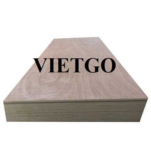 Thương vụ xuất khẩu sản phẩm gỗ dán sang thị trường Israel