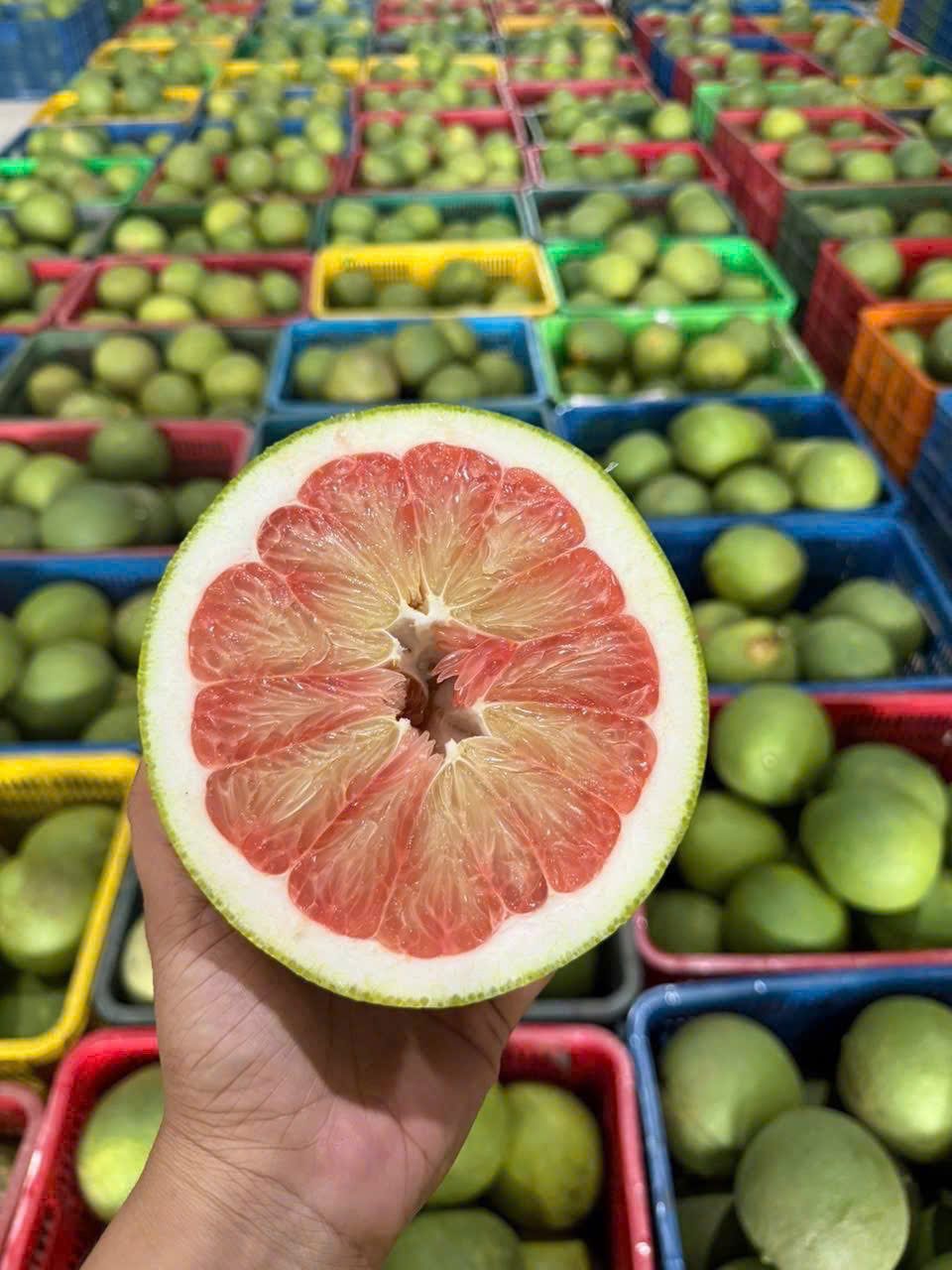 bưởi da xanh