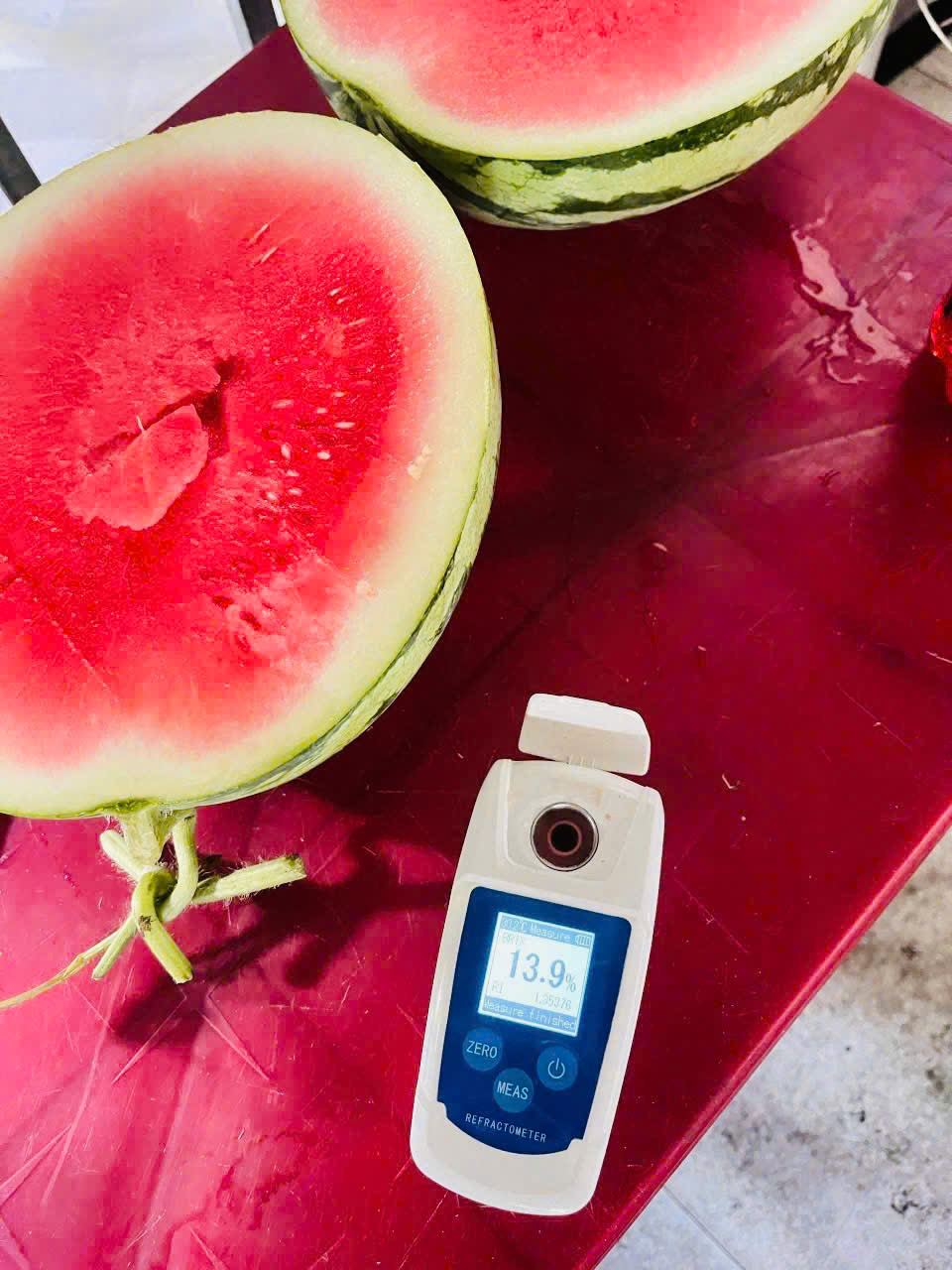 Dưa hấu không hạt mặt trời đỏ