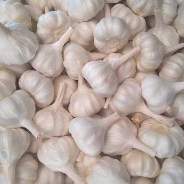 I want to buy garlic
