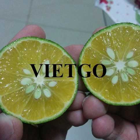 Cơ hội hợp tác xuất khẩu chanh đến thị trường Ả Rập Xê Út 