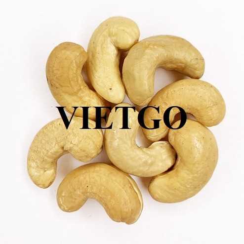 Thương vụ xuất khẩu hạt điều sang thị trường Ấn Độ