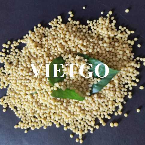 Cơ hội xuất khẩu phân bón DAP sang thị trường Ấn Độ