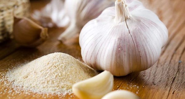 Garlic powder