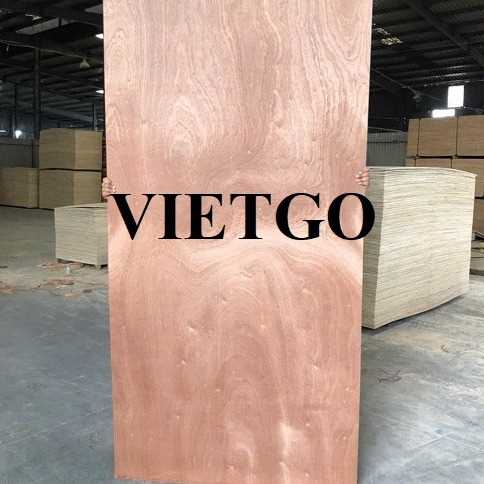 Thương vụ xuất khẩu gỗ dán đến thị trường Ấn Độ 