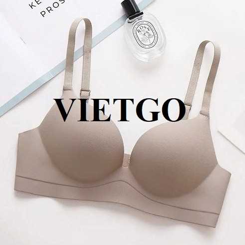 Cơ hội xuất khẩu áo nội y đến Ba Lan   