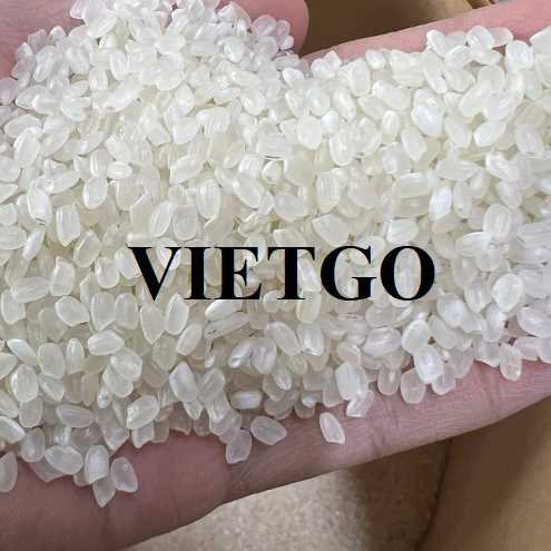 Cơ hội hợp tác xuất khẩu gạo Japonica đến thị trường Albania 