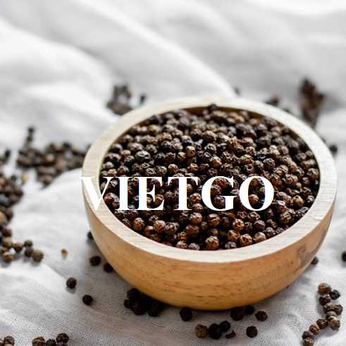 Cơ hội hợp tác xuất khẩu hạt tiêu đến thị trường Ai Cập   