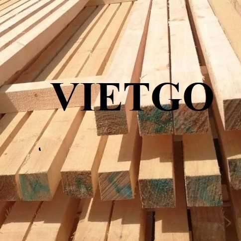 Thương vụ xuất khẩu gỗ thông xẻ đến thị trường Latvia 