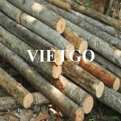 Cơ hội xuất khẩu gỗ cao su tròn sang thị trường UAE