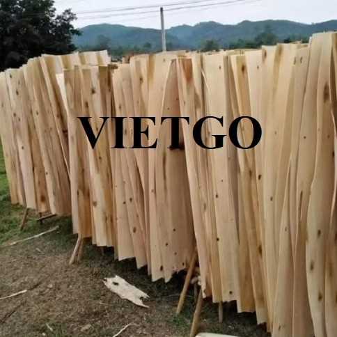 Cơ hội xuất khẩu ván bóc cao su sang thị trường Ấn Độ