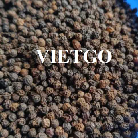 Cơ hội xuất khẩu hạt tiêu đen sang thị trường Ấn Độ