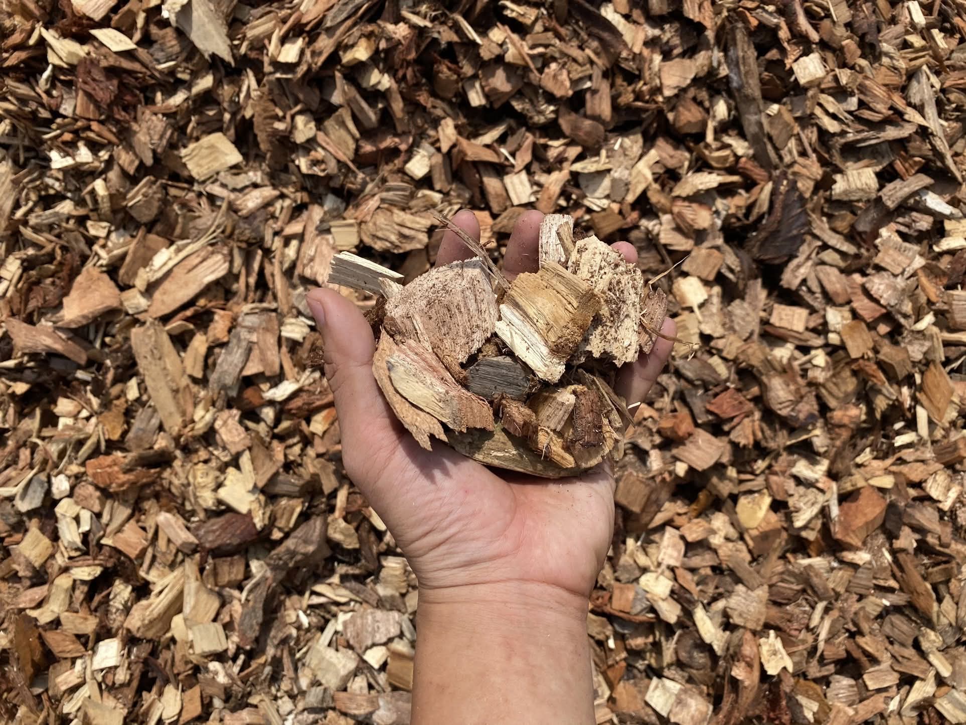 I want to buy wood chips 