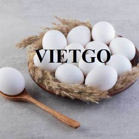 Cơ hội hợp tác xuất khẩu trứng trắng sang thị trường Thổ Nhĩ Kỳ