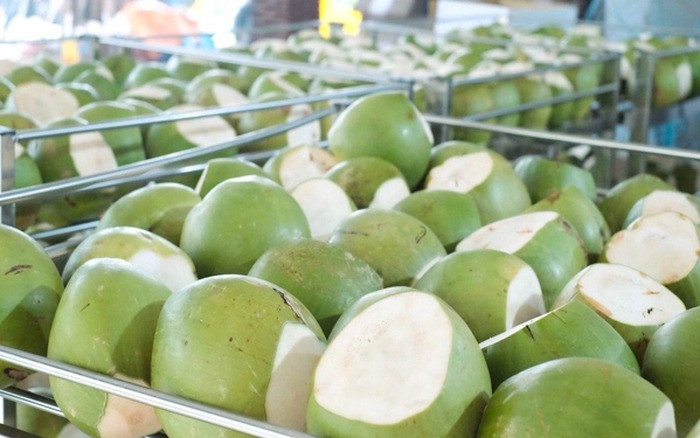 DỪA
