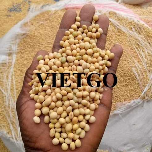 Cơ hội xuất khẩu đậu nành sang thị trường Hàn Quốc