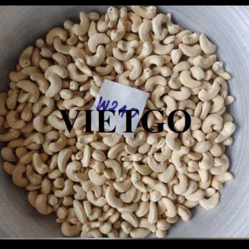 Cơ hội hợp tác xuất khẩu hạt điều đến thị trường Bangladesh 