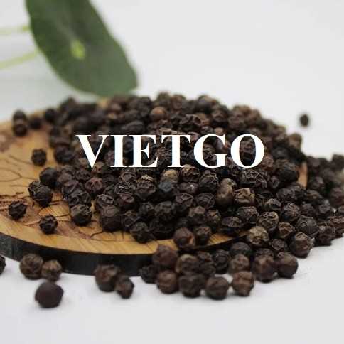 Cơ hội xuất khẩu hạt tiêu đen sang thị trường Ấn Độ