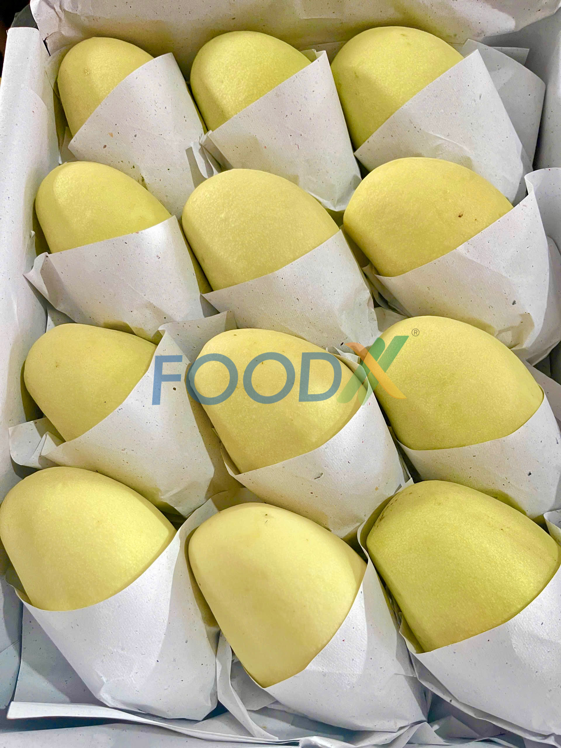 Cần tìm FWD có kinh nghiệm xuất hàng đi Thái Lan