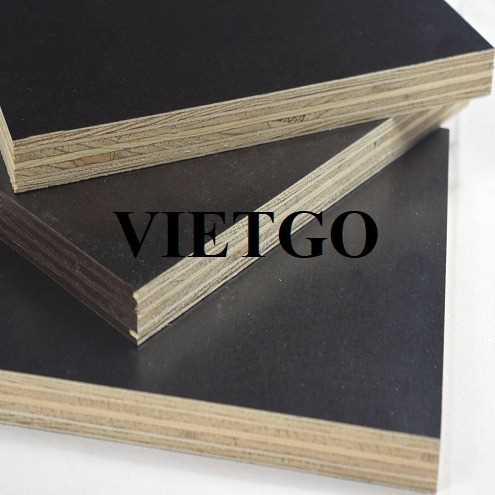 Thương vụ xuất khẩu gỗ dán phủ phim sang thị trường UAE