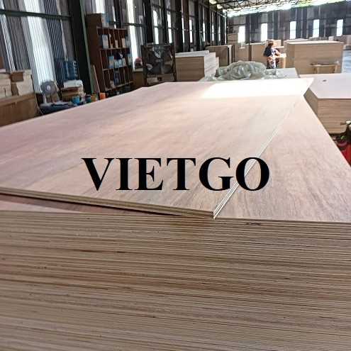 Thương vụ xuất khẩu gỗ dán đến thị trường Ả Rập Xê Út 