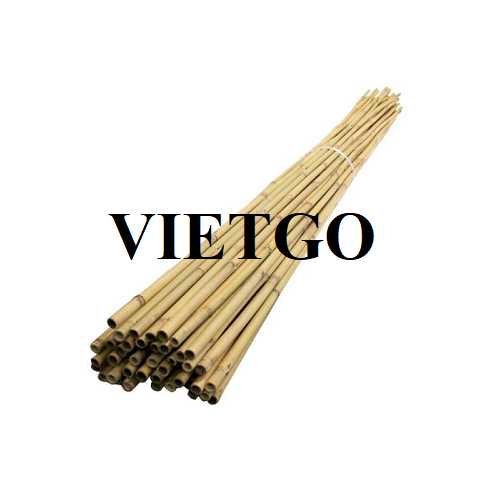Cơ hội xuất khẩu gậy tre sang thị trường Ấn Độ