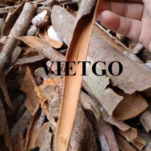 Cơ hội hợp tác xuất khẩu quế sang thị trường Bangladesh