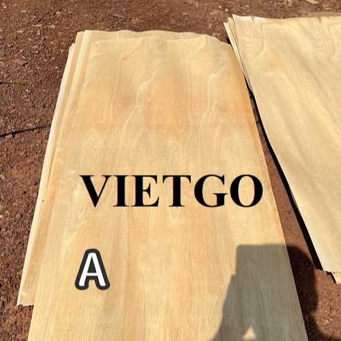 Thương vụ xuất khẩu ván bóc cao su sang thị trường Ấn Độ