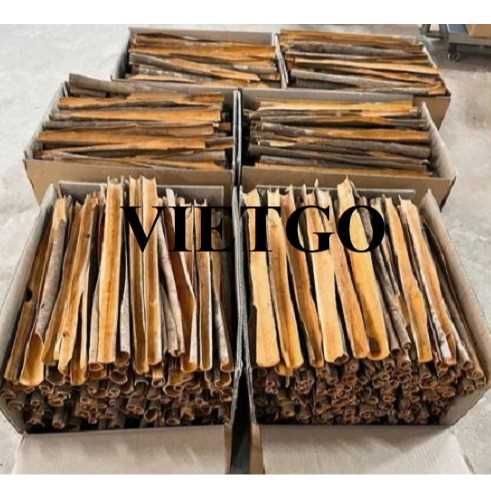 Cơ hội hợp tác xuất khẩu quế chẻ đến thị trường Bangladesh