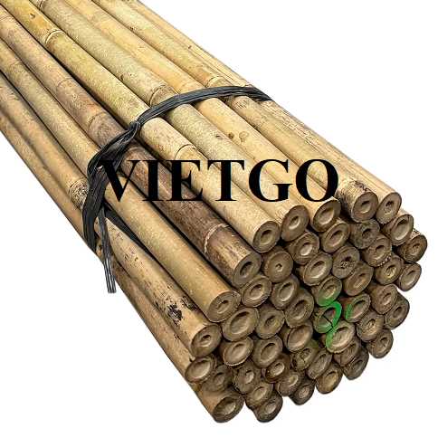 Cơ hội xuất khẩu gậy tre sang thị trường Lebanon