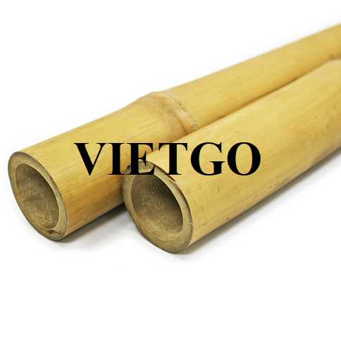 Cơ hội xuất khẩu gậy tre sang thị trường Malta