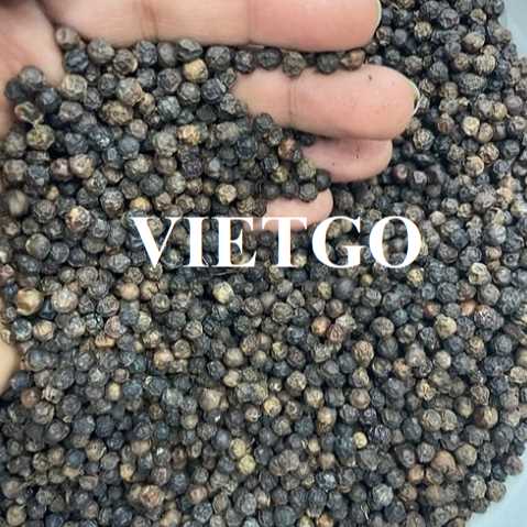 Cơ hội hợp tác xuất khẩu hạt tiêu đến thị trường Ấn Độ    
